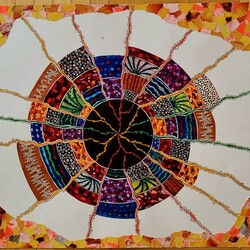 Ann Zupp